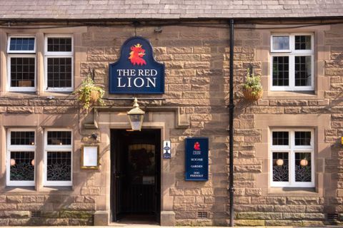 Red Lion