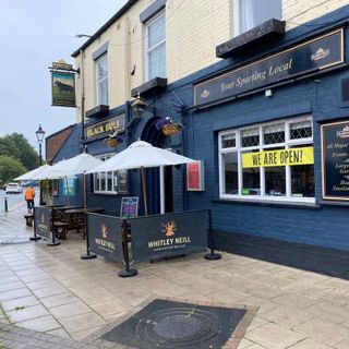 Black Bull