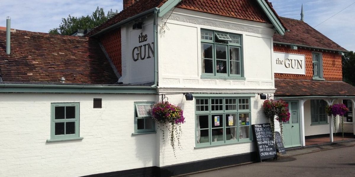 Gun