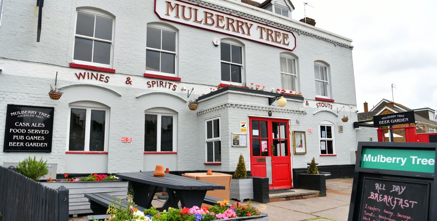 Mulberry Tree
