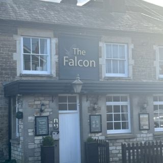 Falcon