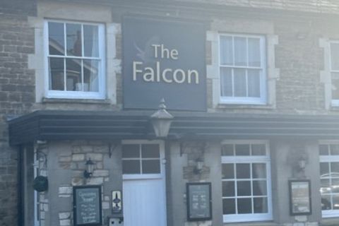 Falcon