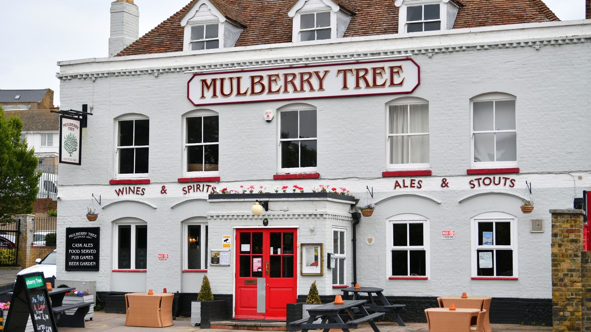 Mulberry Tree