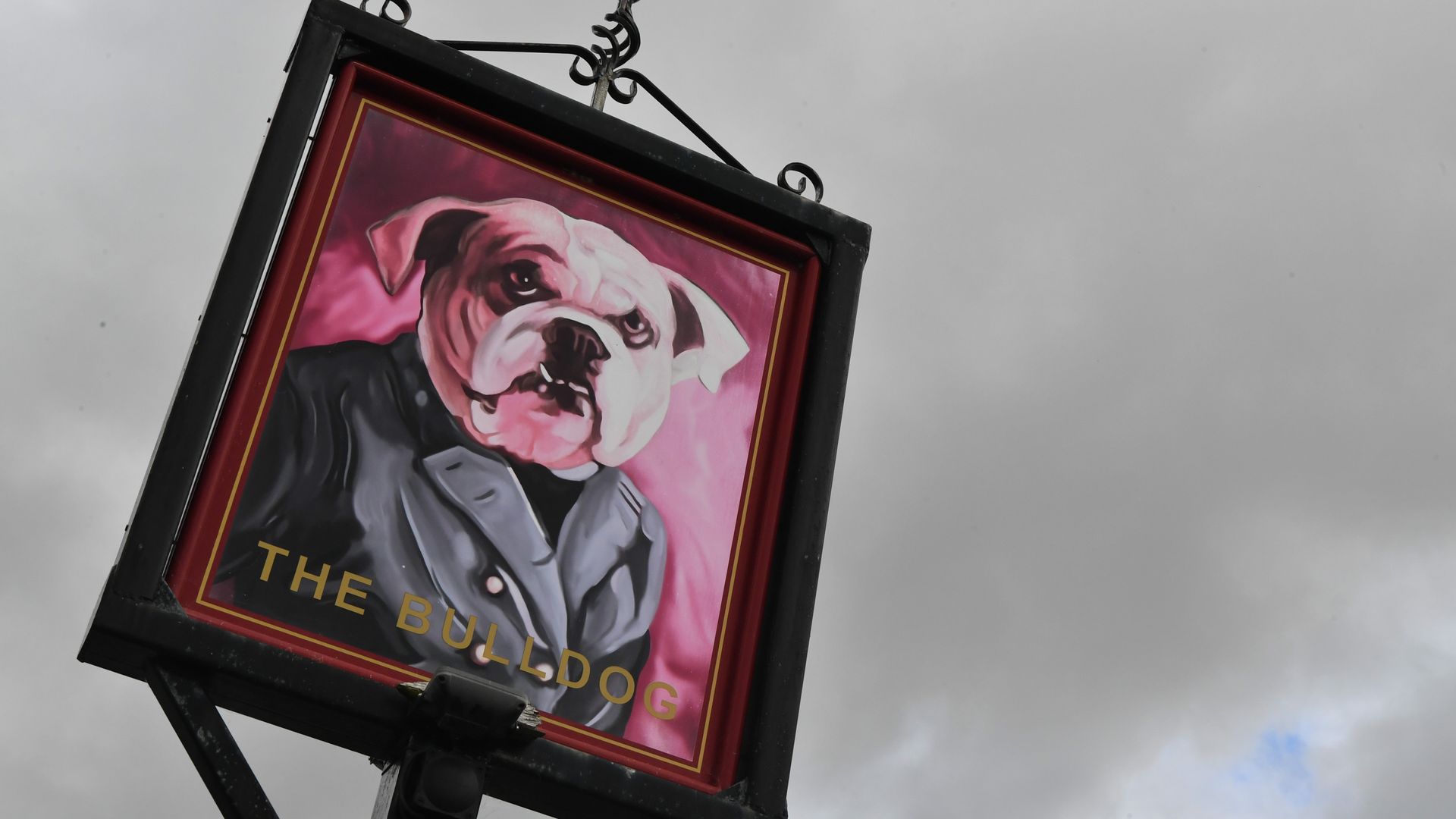 Bulldog