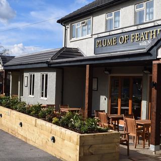 Plume Of Feathers