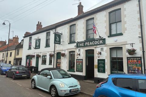 Peacock