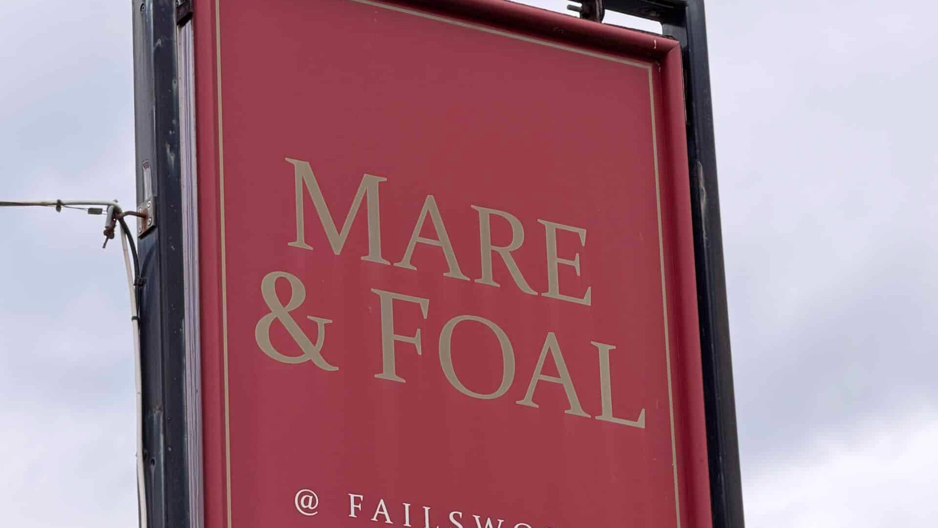 Mare & Foal