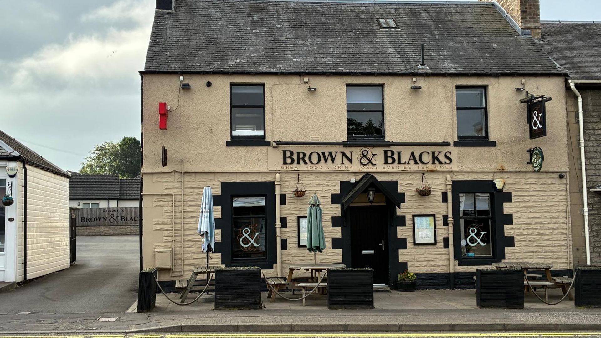 Brown & Blacks