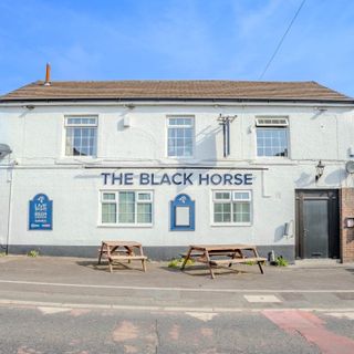 Black Horse