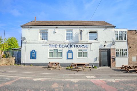 Black Horse