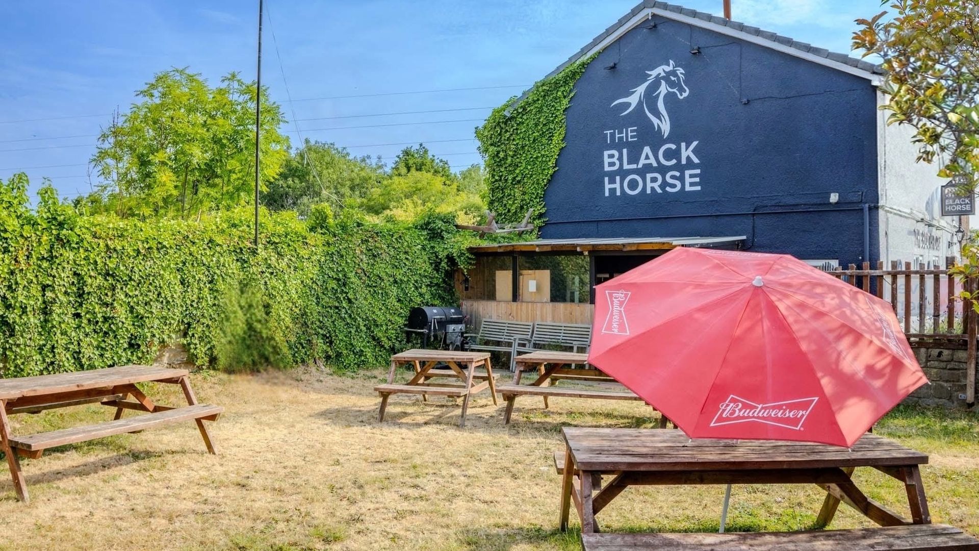 Black Horse