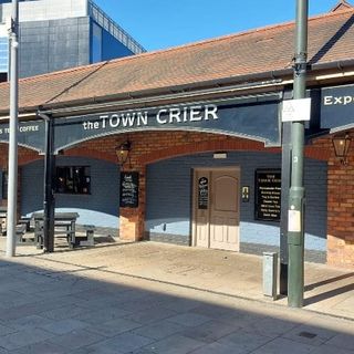 Town Crier