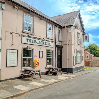 Black Bull