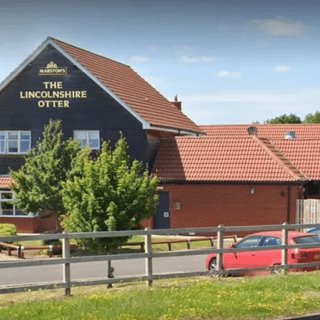 Lincolnshire Otter