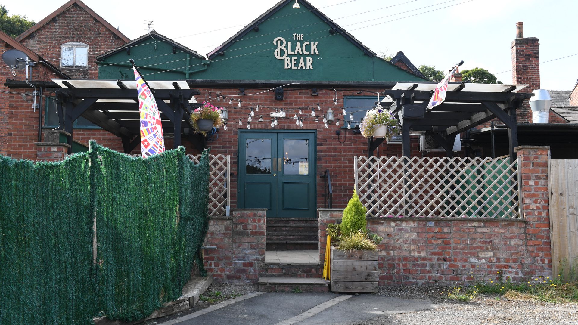 Black Bear