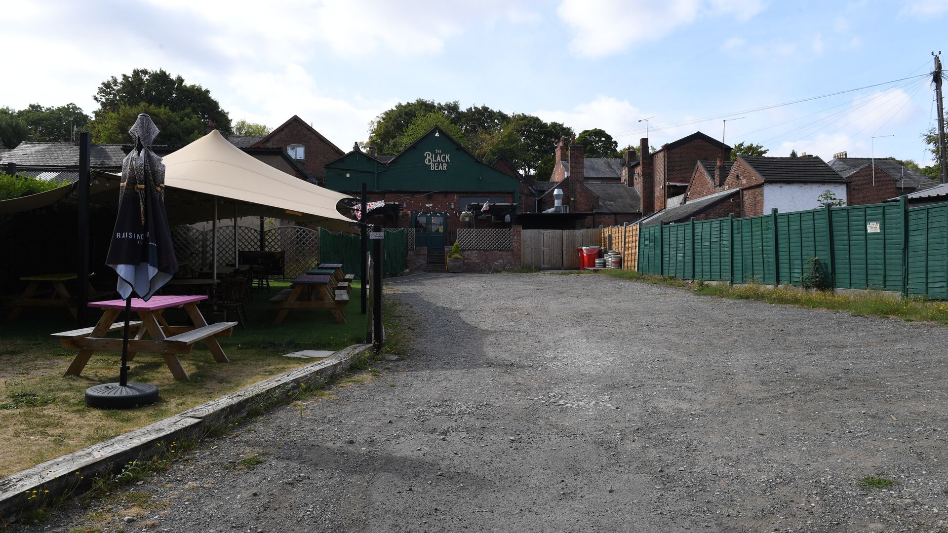 Black Bear
