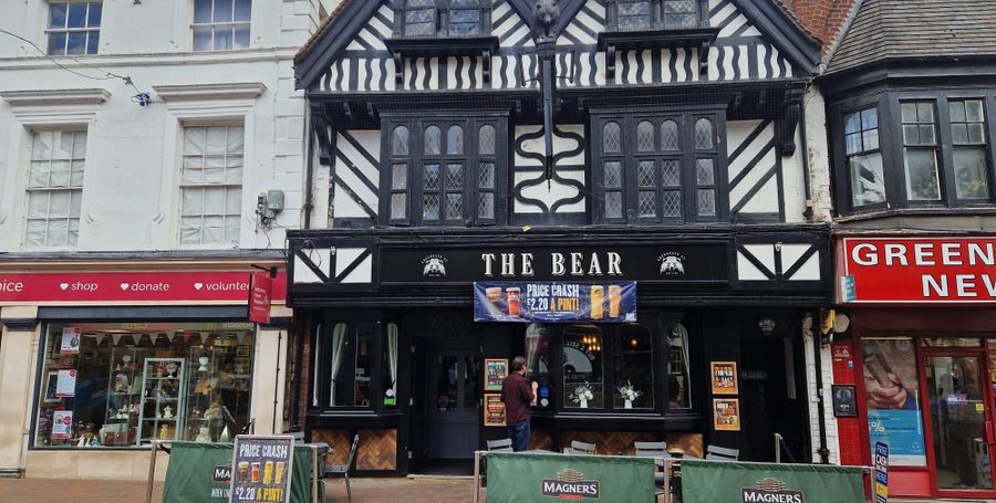Bear