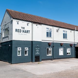 Red Hart