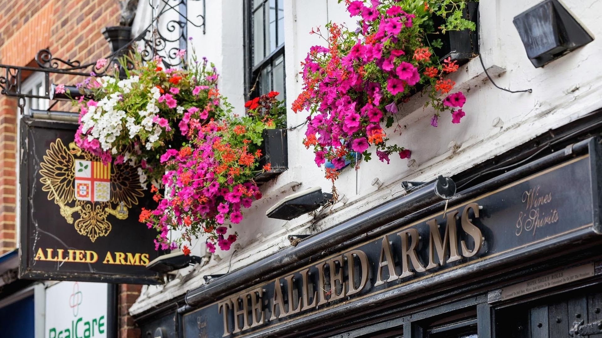 Allied Arms
