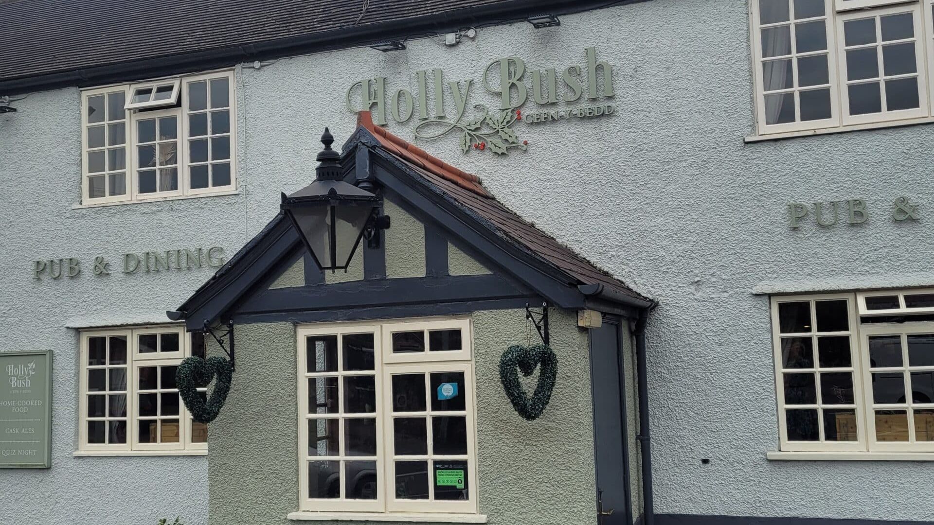 Holly Bush