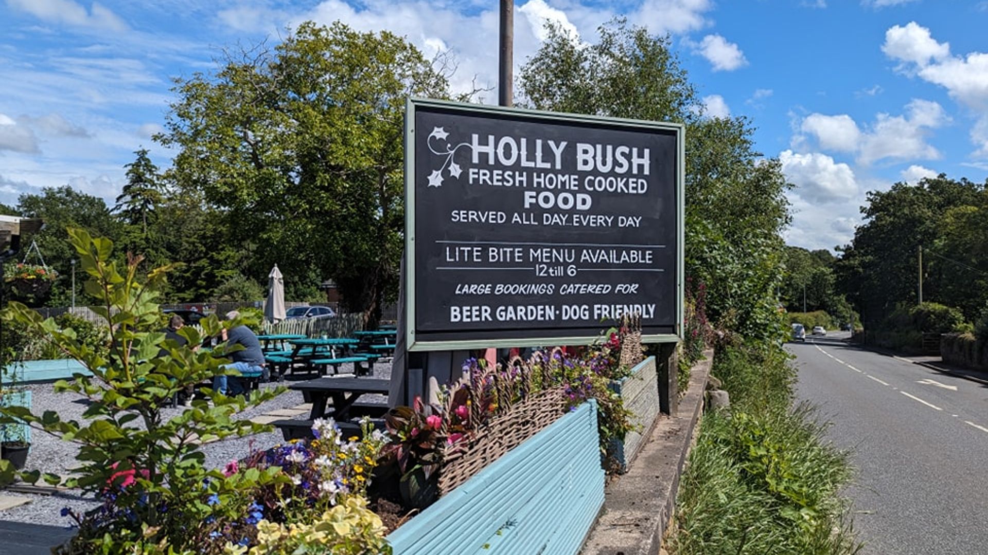 Holly Bush