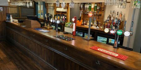 Holly Bush