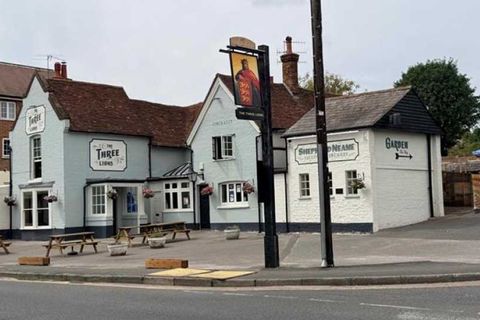 Three Lions