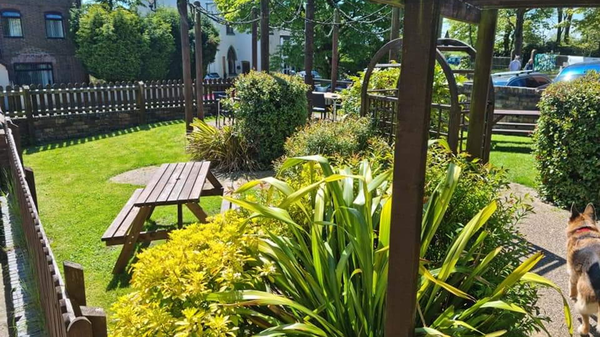 Grapes Inn