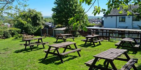 Grapes Inn