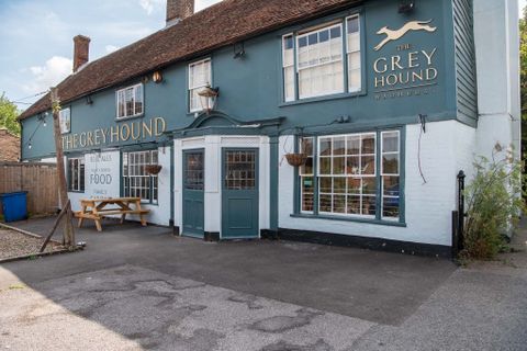 Greyhound