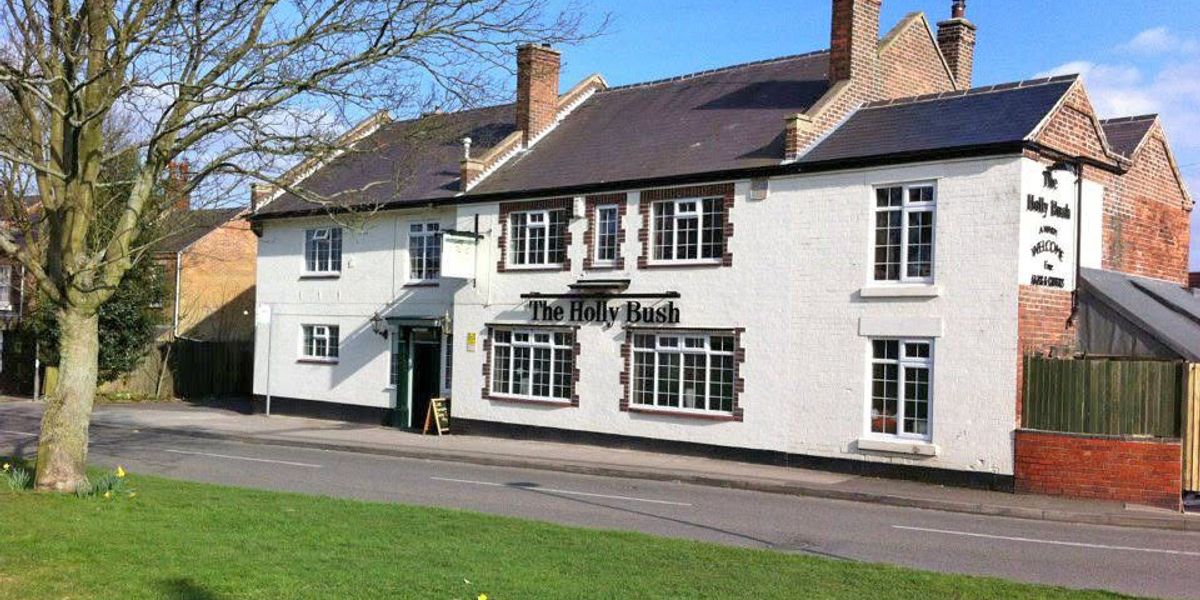 Hollybush