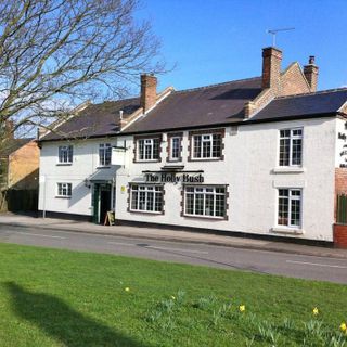 Hollybush