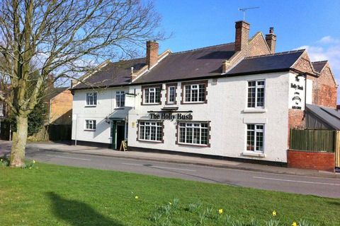Hollybush