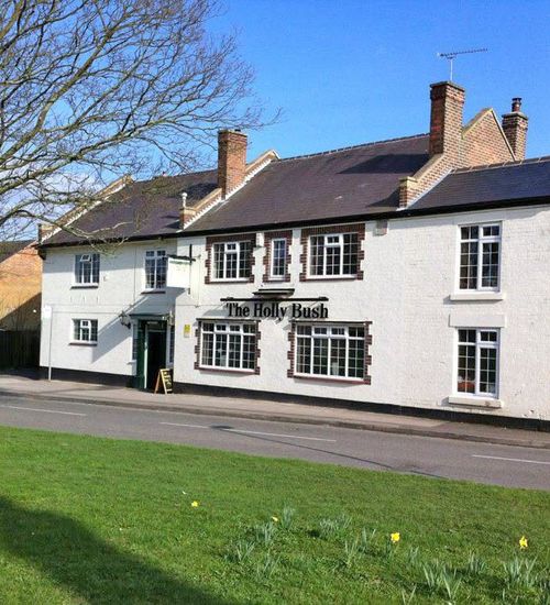 Hollybush