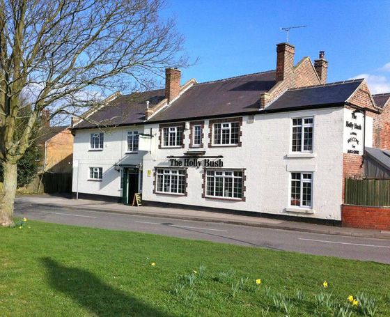 Hollybush