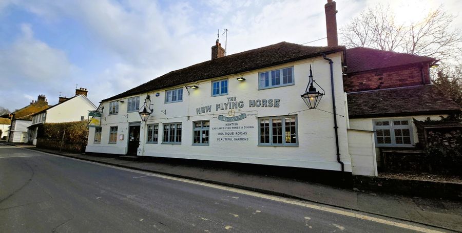 New flying Horse
