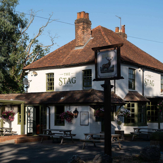 Stag