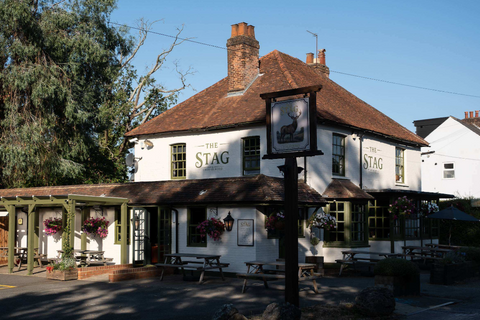 Stag