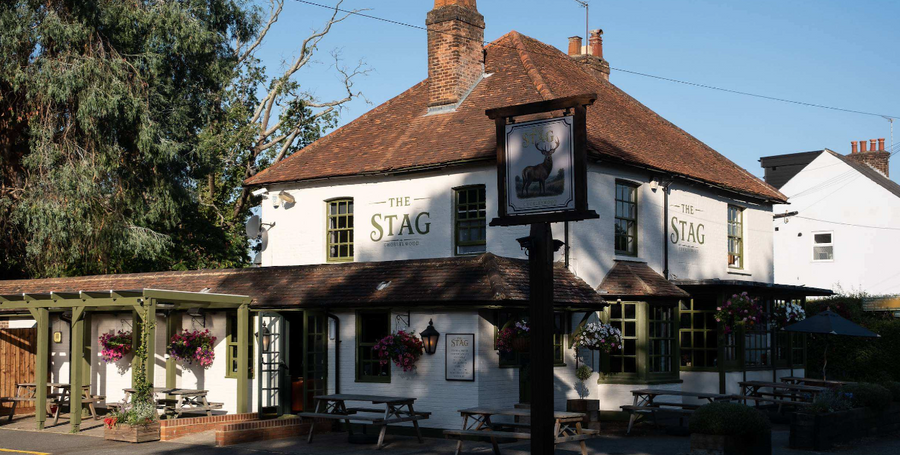 Stag