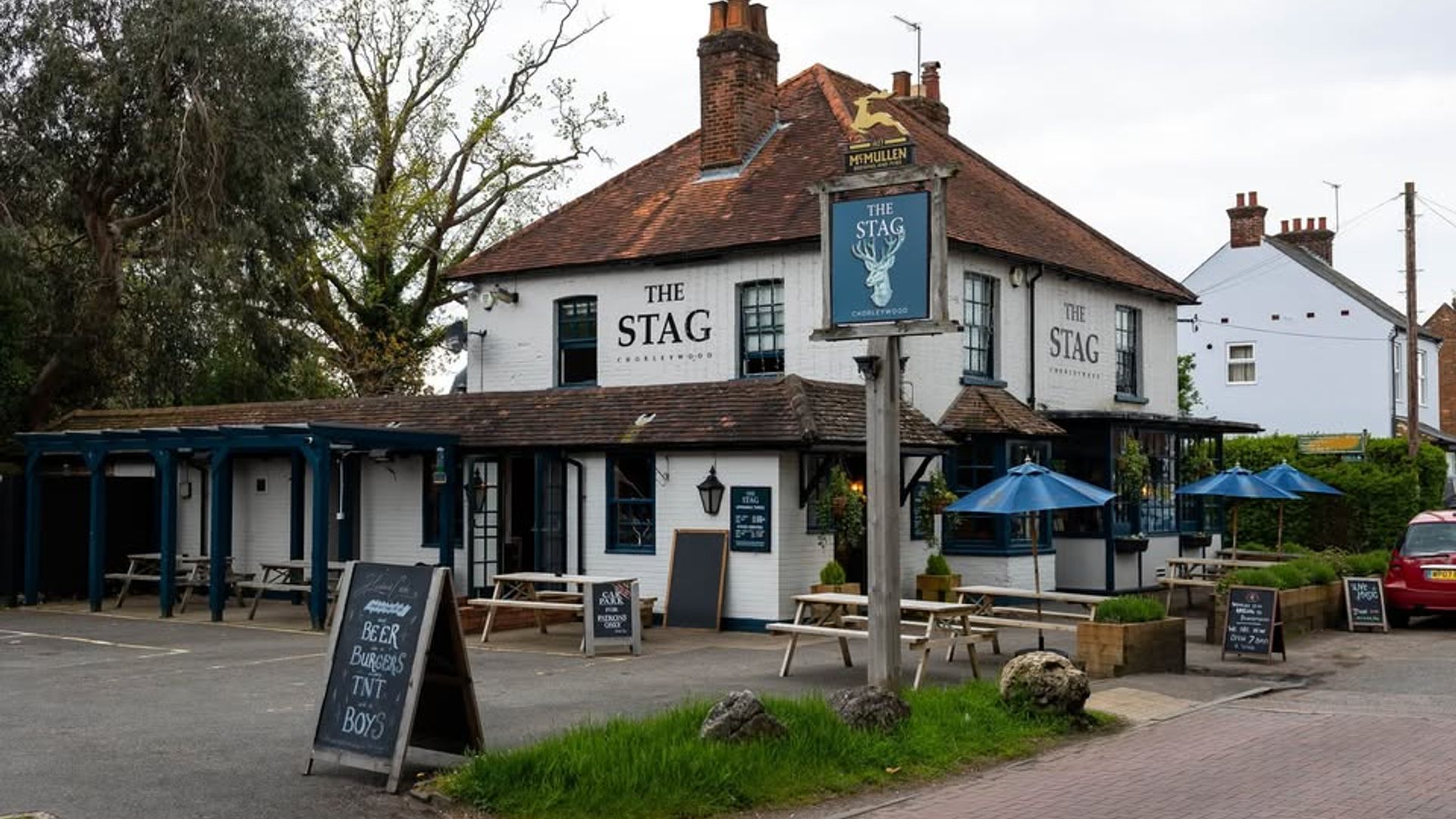 Stag
