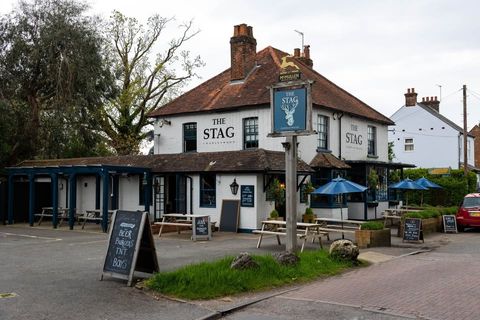 Stag