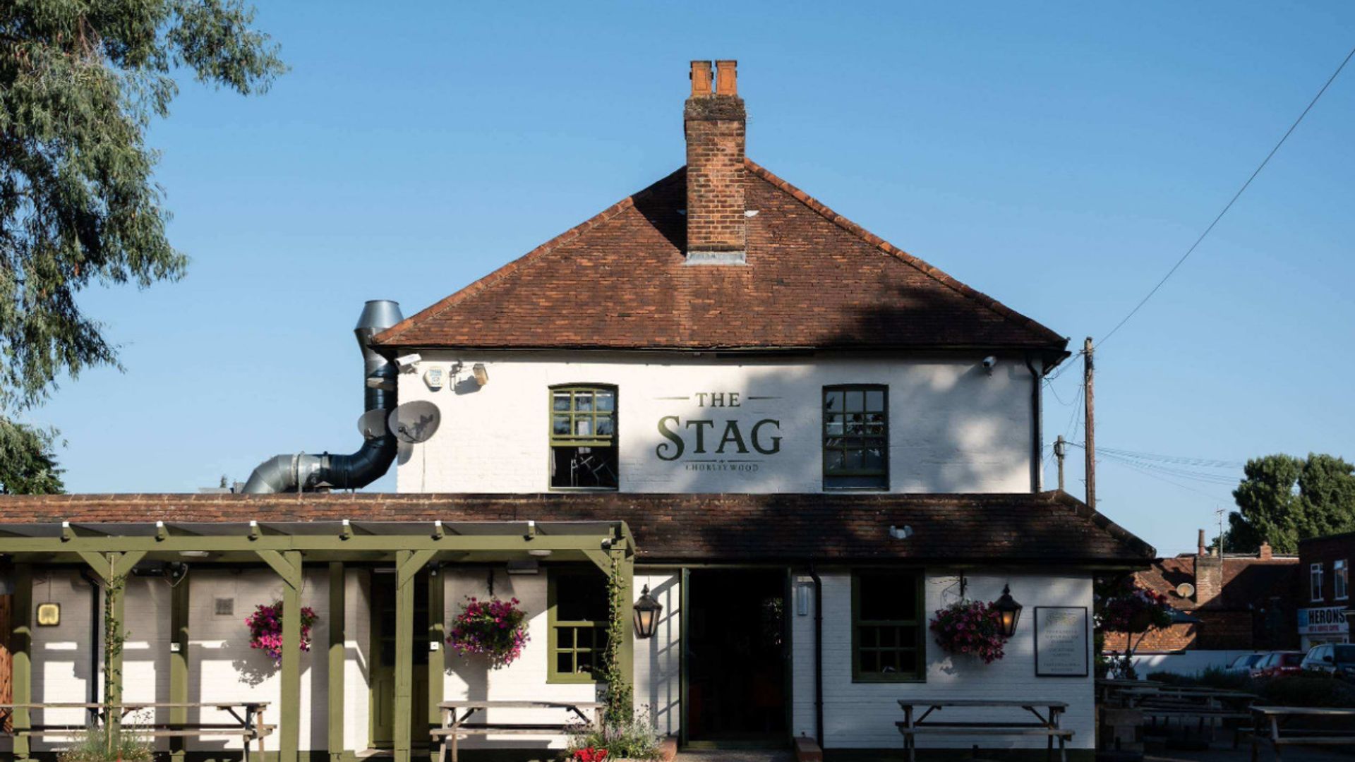 Stag