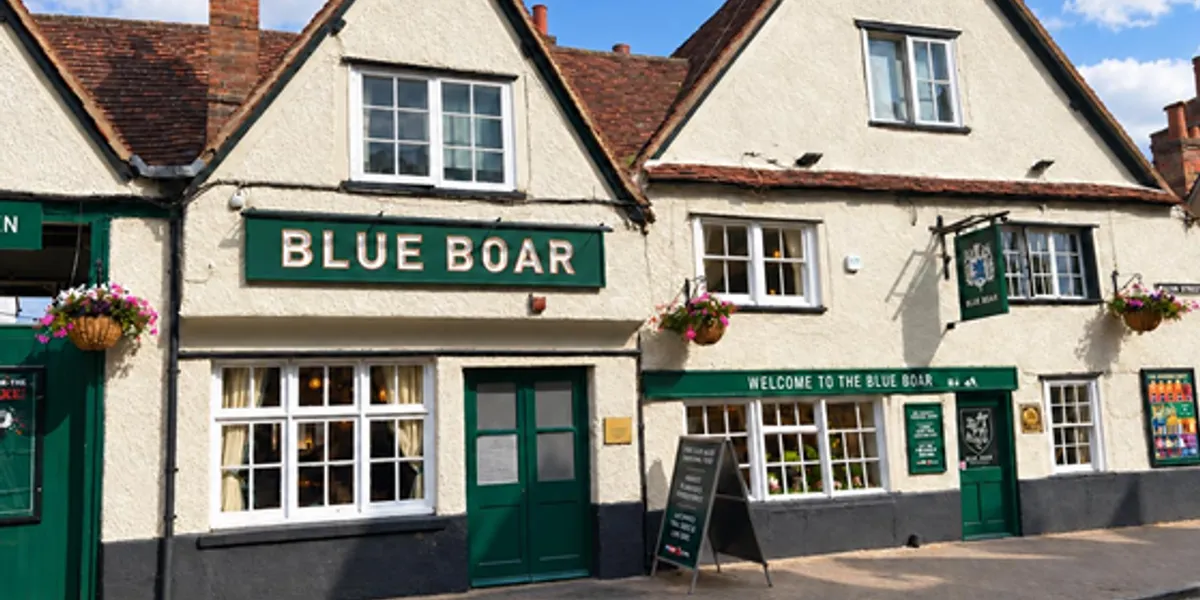 Blue Boar