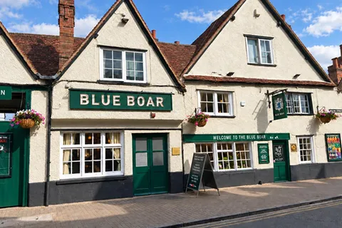 Blue Boar