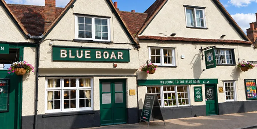 Blue Boar