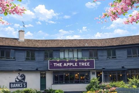 Apple Tree