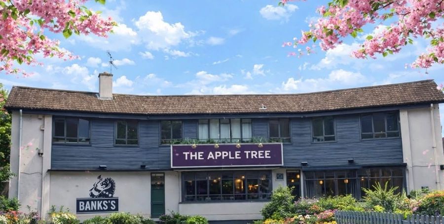 Apple Tree