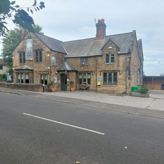 Elm Tree