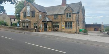 Elm Tree