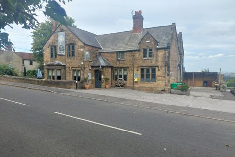 Elm Tree